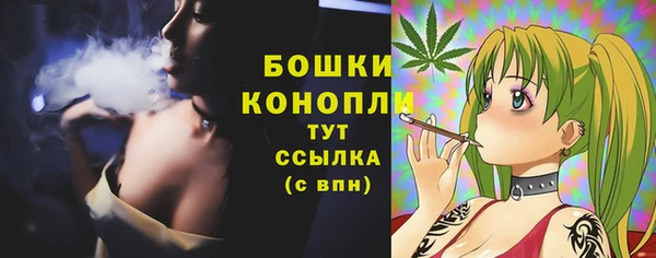 гидропоника Карталы
