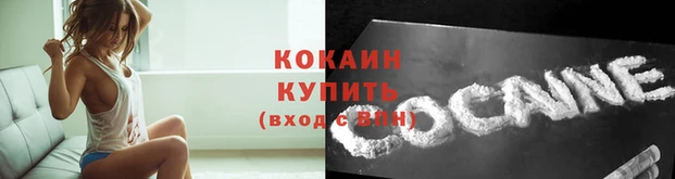 гидропоника Карталы