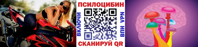 Псилоцибиновые грибы Psilocybe  ОМГ ОМГ tor  Николаевск 